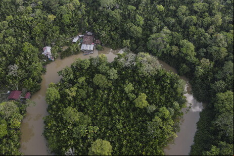 Área da Floresta Amazônica no Pará