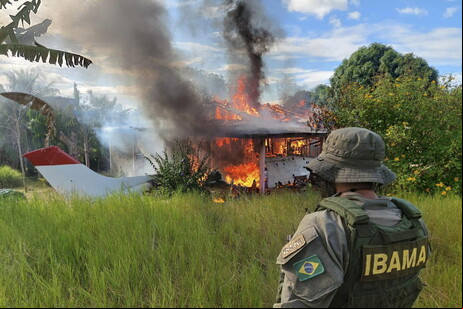 Amazônia tem sido o bioma mais afetado pela devastação