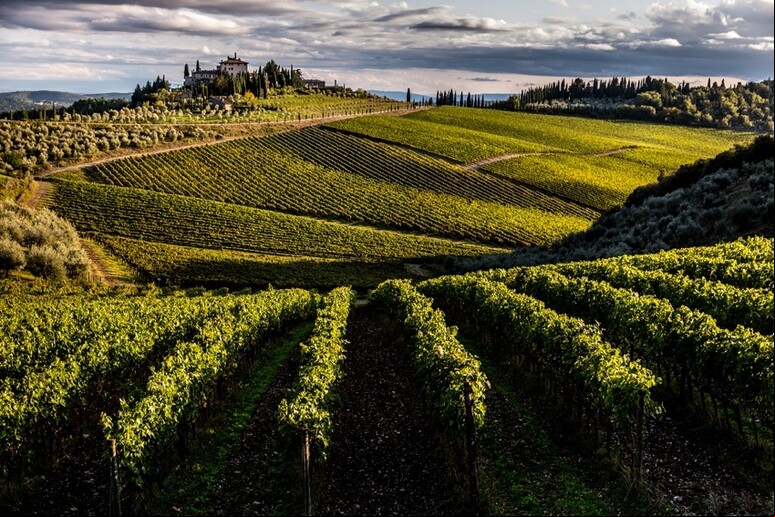 Vinícolas de Chianti estão entre as mais famosas da Itália - TODOS OS DIREITOS RESERVADOS