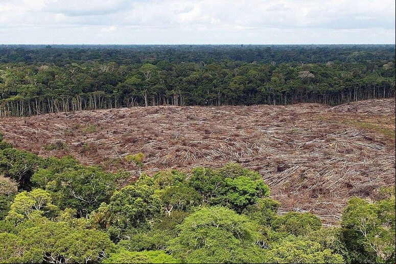 Área desmatada na Amazônia brasileira - TODOS OS DIREITOS RESERVADOS