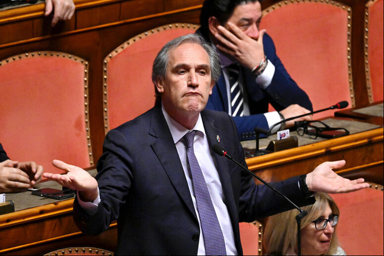 Senador Roberto Menia propôs emenda no decreto-lei de cidadania, que foi derrubada - TODOS OS DIREITOS RESERVADOS