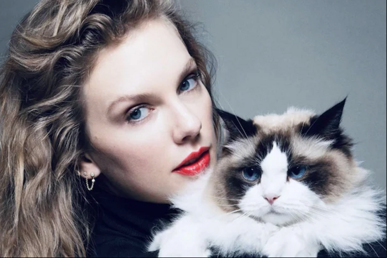 Taylor Swift se definiu como  'dona de gato sem filhos ' © ANSA/Re