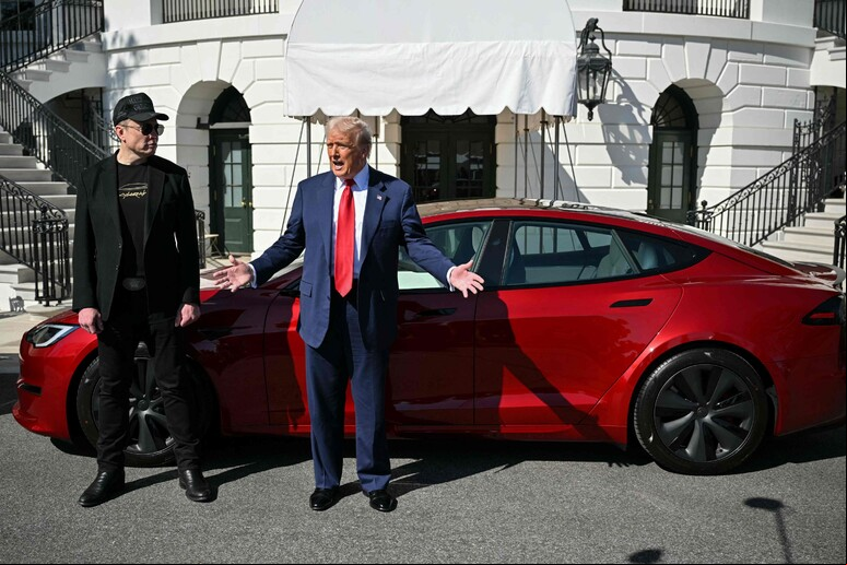 Musk é um dos principais aliados do governo Trump © ANSA/AFP