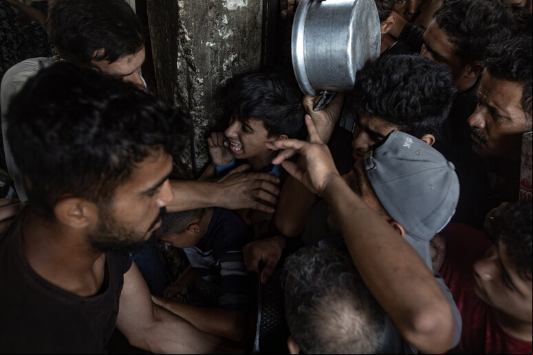2 milhões de palestinos morrem de fome em Gaza, diz OMS - TODOS OS DIREITOS RESERVADOS